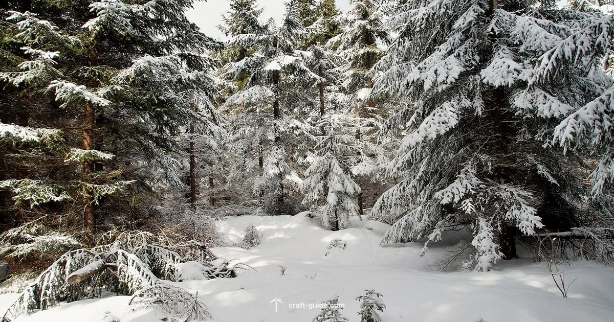 Taiga Biome Landscape - Craft Guide