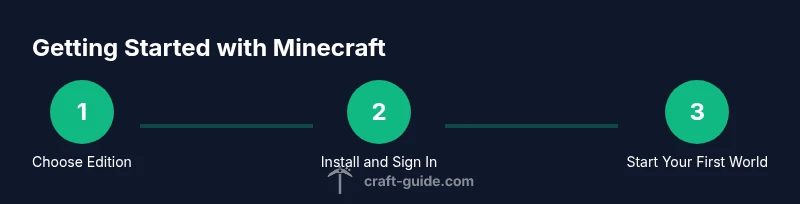 Process infographic showing Minecraft starter steps