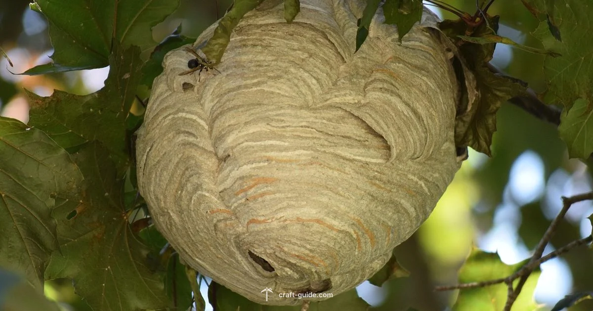 Bees in Minecraft Hive - Craft Guide