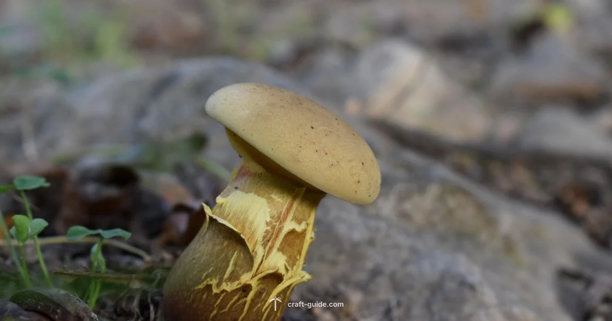 Minecraft Earth Recap Minecraft Earth Recap - Craft Guide