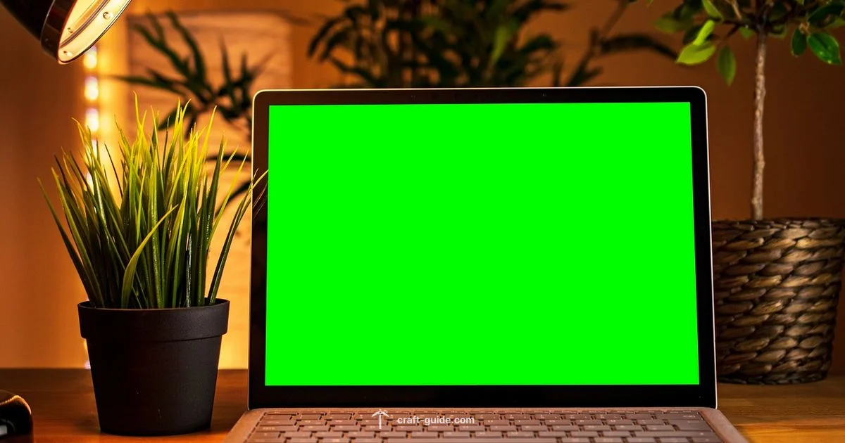 Live Setup - Craft Guide