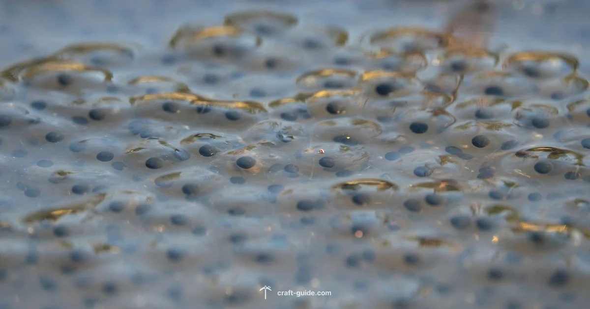 Town Seed Spotlight - Craft Guide