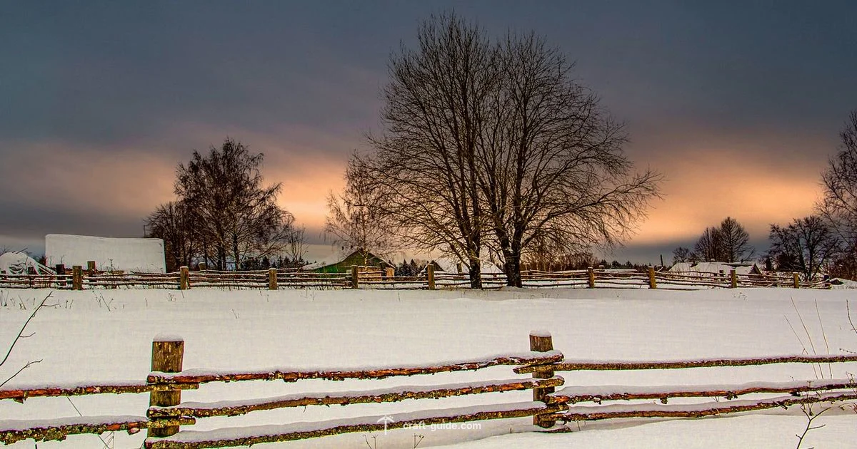 Best Village Guide - Craft Guide