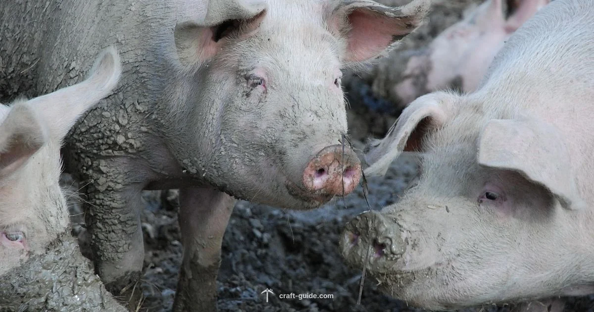 Mud and Pigs Mud and Pigs - Craft Guide