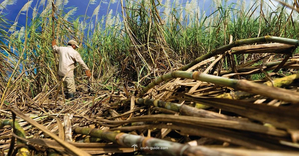 Sugar Cane Farm Guide - Craft Guide