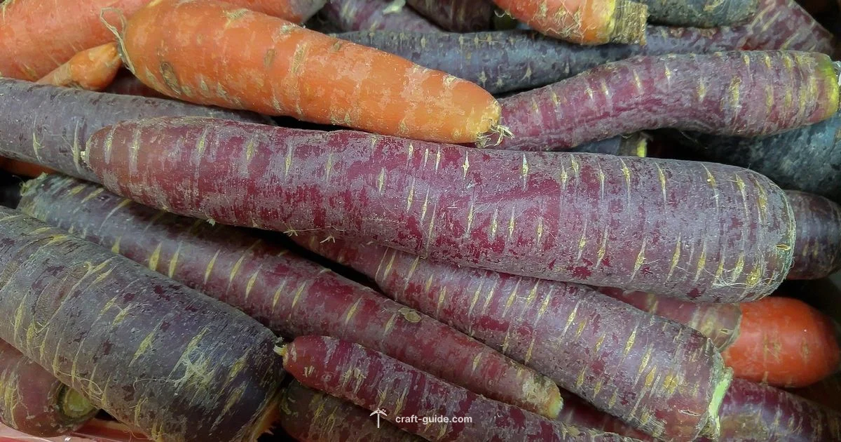 Golden Carrot Guide Golden Carrot Guide - Craft Guide