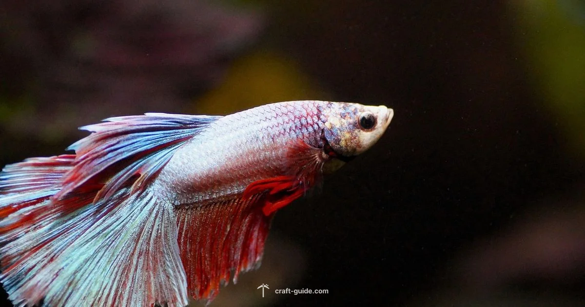 Fish Breeding Guide Fish Breeding Guide - Craft Guide