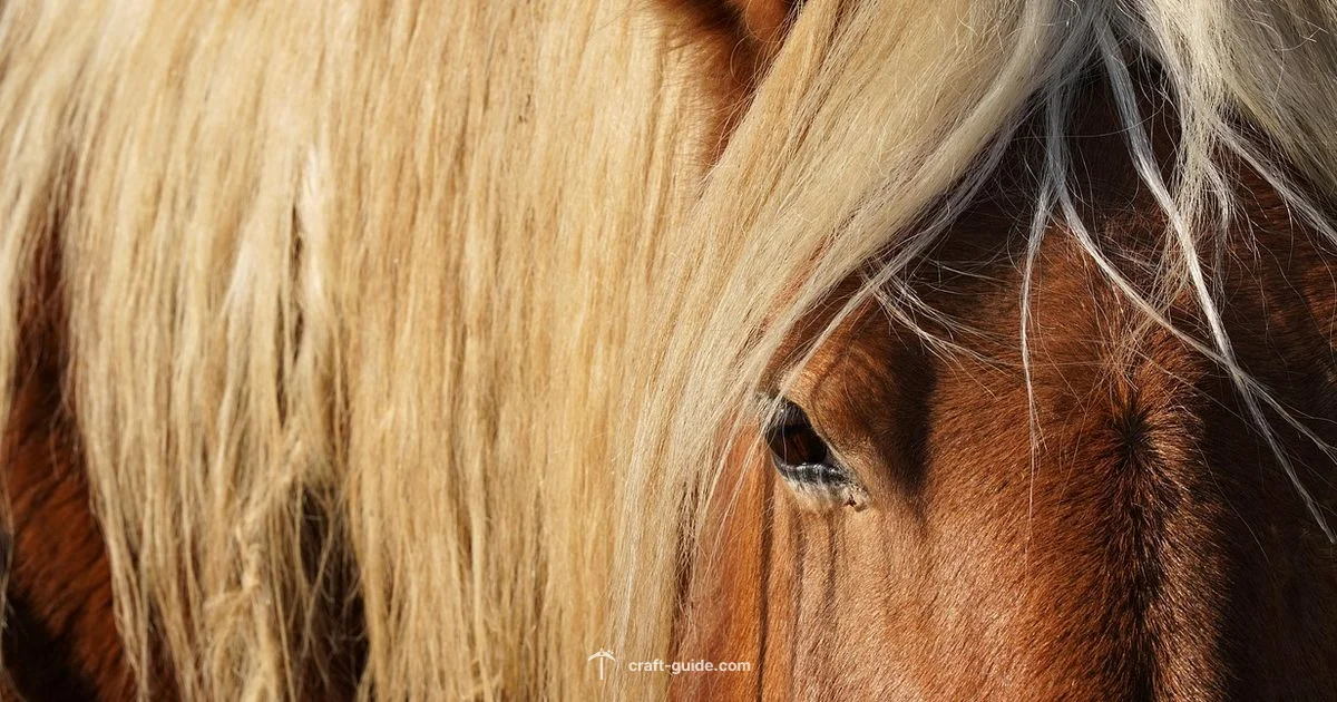 Horse Breeding - Craft Guide