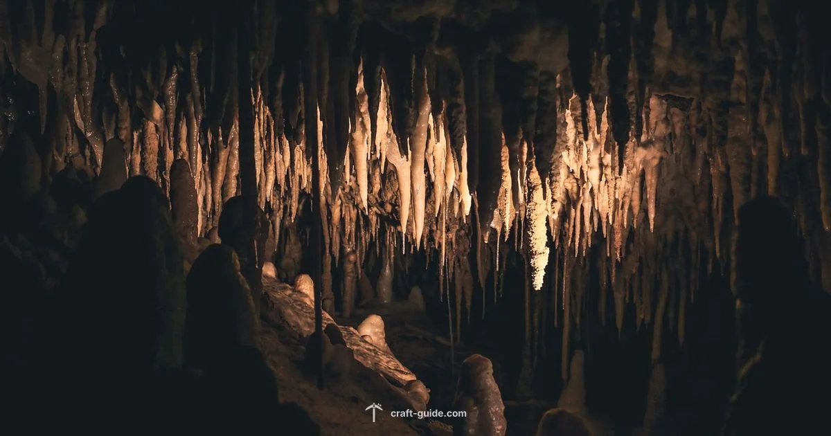 Underground Tree Growth - Craft Guide